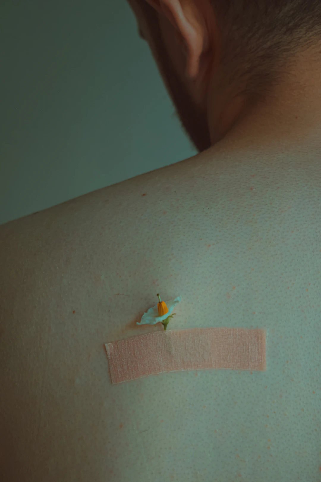 Versterk je gezondheid met transdermale supplement patches